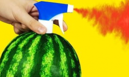 吃瓜大爆炸网,揭秘娱乐圈最新热点，带你领略明星幕后故事