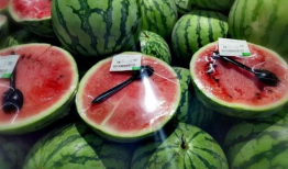 各种网红爆料吃瓜群,吃瓜群里的娱乐圈风云录