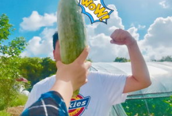 网红吃瓜爆料. com,揭秘娱乐圈幕后真相