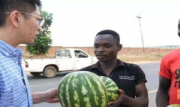 黑网吃瓜网,网络世界的暗流涌动