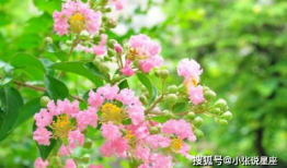 快手网红紫薇吃红瓜