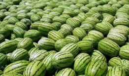 吃瓜网哪里进,揭秘热门话题背后的秘密入口