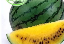 全球热网吃瓜,吃瓜群众视角下的热点事件追踪